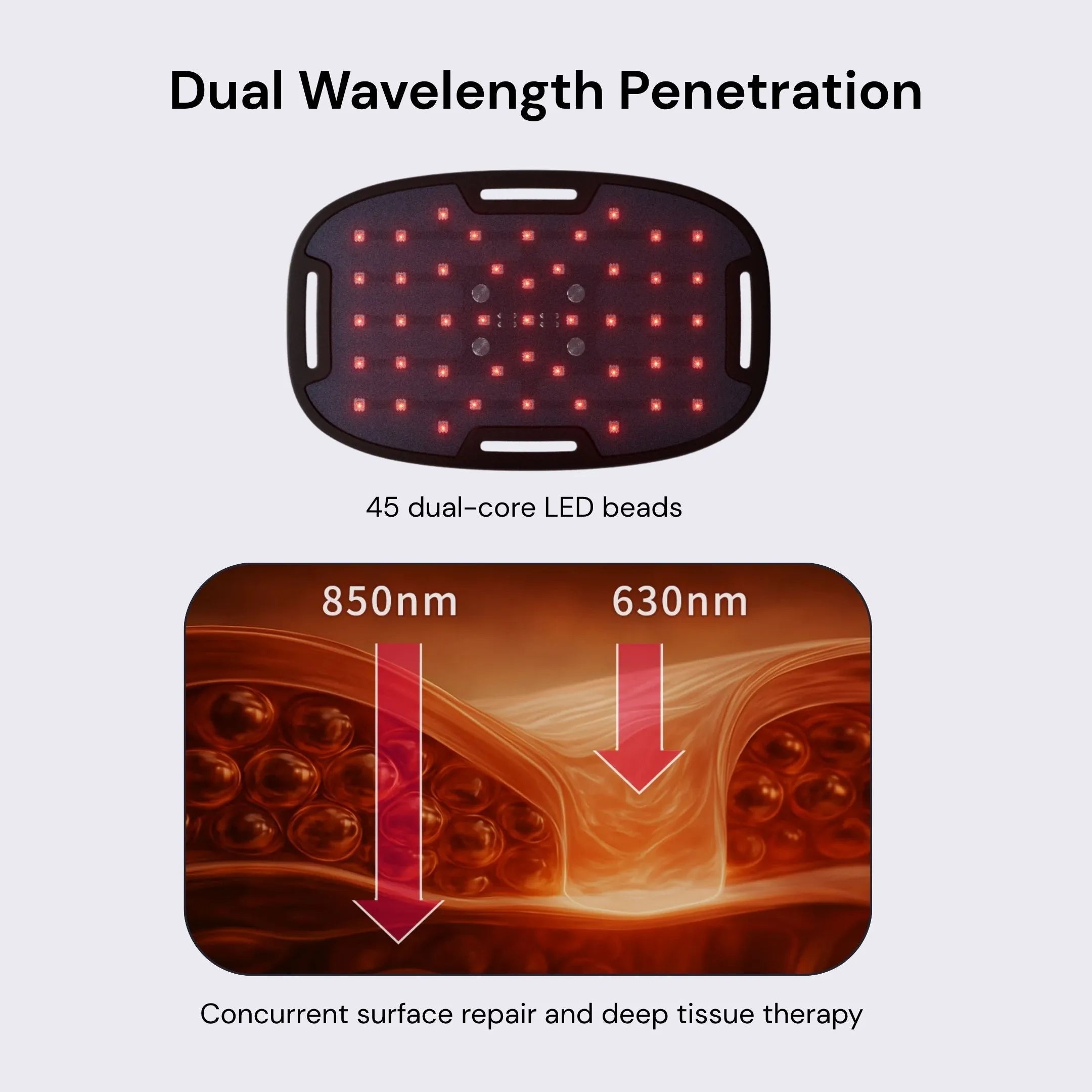 Dual Wavelength Penetration - 45 dual-core LED beads